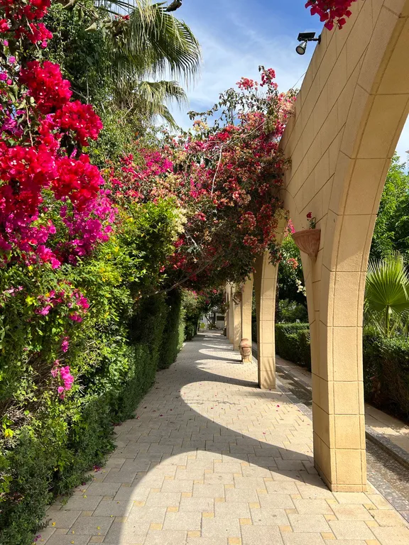 Уютные апартаменты прованс в Caesar Resort