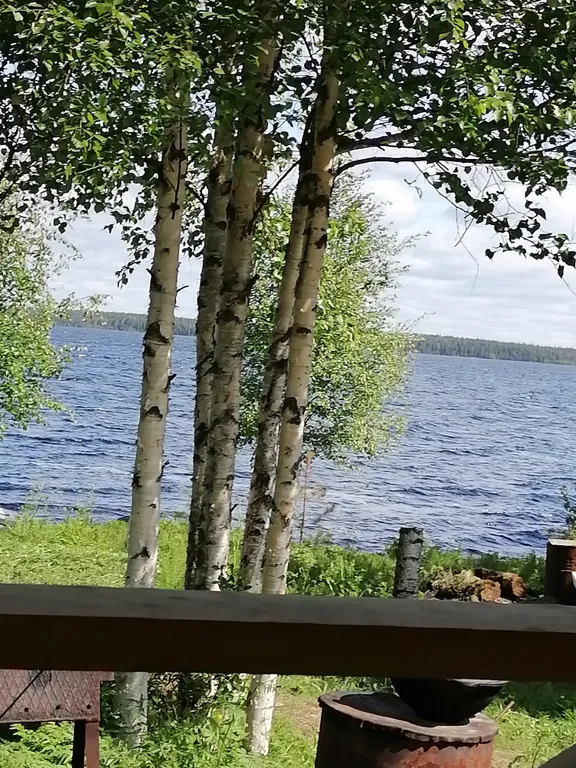 Дом прямо на берегу Беломоро-Балтийского канала "Дикая клюква"