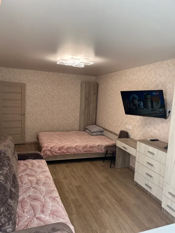 Однокомнатная с кондиционером на Таможне