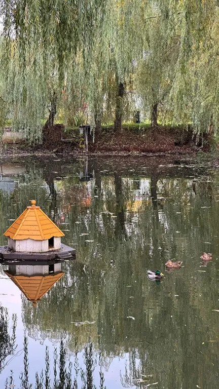 Коттедж Дом с баней, барбекю зоной и большой беседкой — Новый Городок