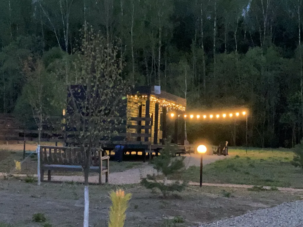 Домик ЧЕРНИКА. Большой пруд с пляжем в глэмпинге "Усадьба Ягодное".