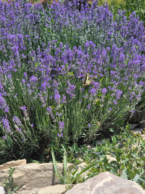 Новая видовая квартира на первой линии в ЖК Анаполис