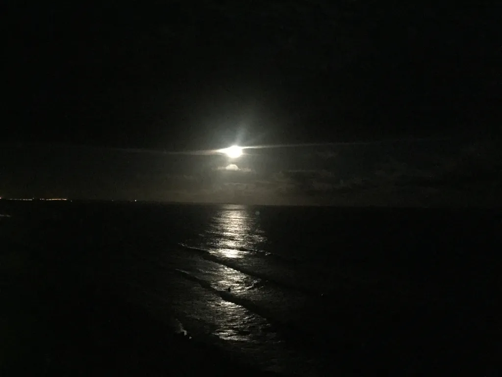 Апартамент белая волна с видом на море