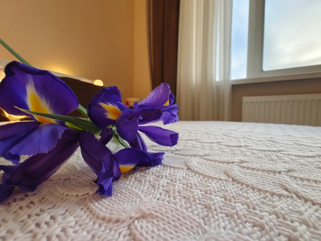 Квартира Комната — Анапа