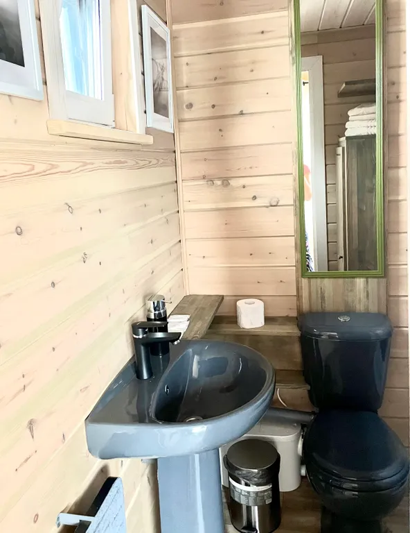 Дом на берегу реки, заснеженный лес, хаусбот