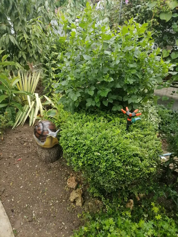 Квартира Квартира Уютный номер в Балаклаве — Севастополь