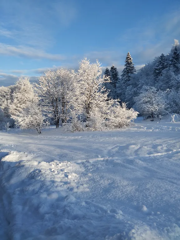 Уютный номер в Лаго-наки