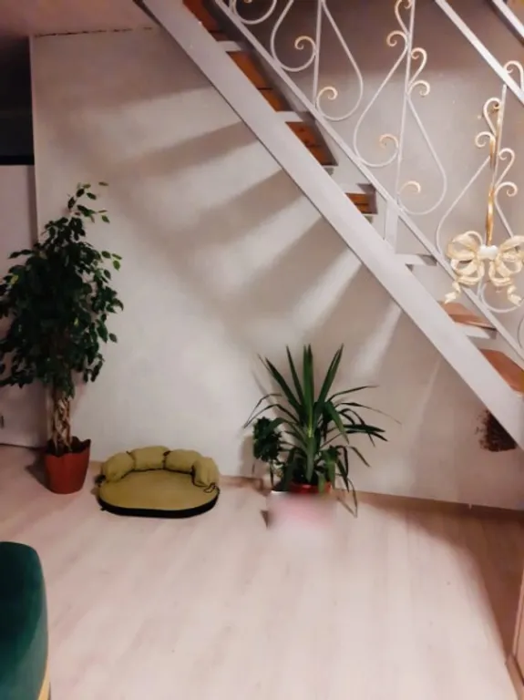 Коттедж рядом с Выборгом