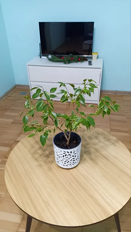 Уютная квартира рядом с вокзалом