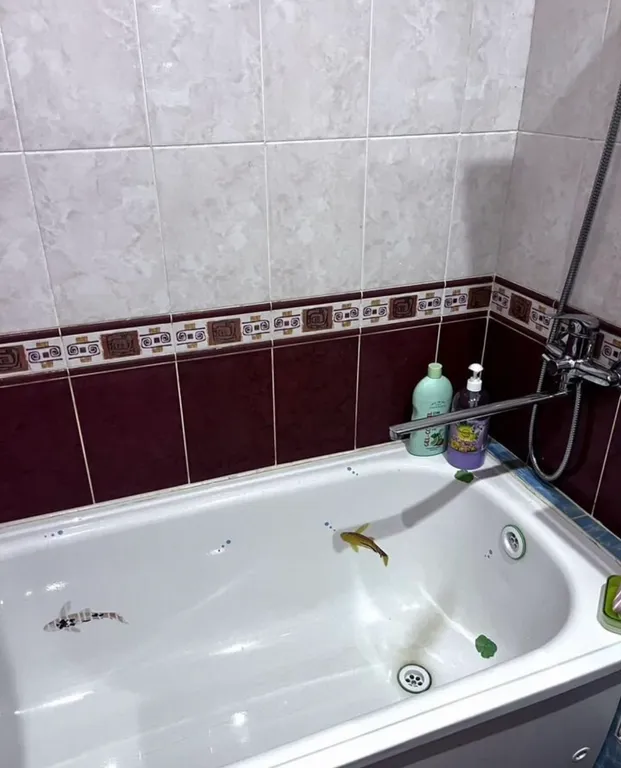 Уютная 1-комнатная квартира в Заводском районе