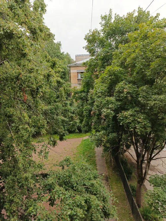 Квартира Уютная светлая квартира в центре — Пушкин