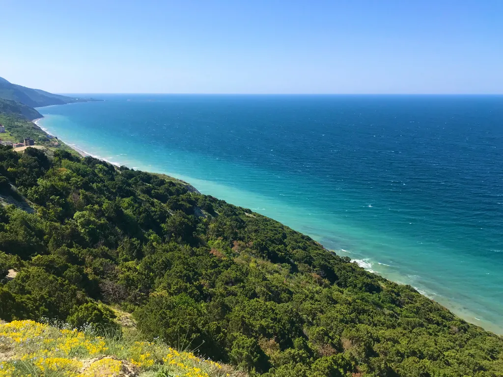 Апартаменты Санрайз с видом на море, лес и горы