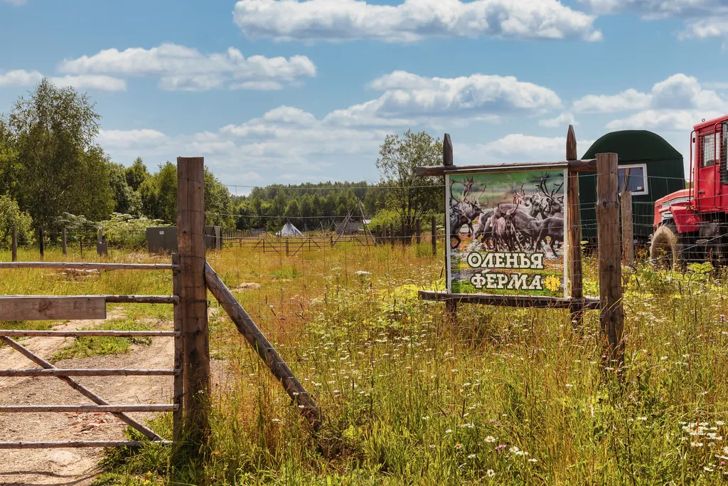 Оригинальный ДубльДом Каштан