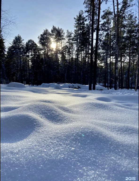 Гостевая часть дома в сосновом бору у реки