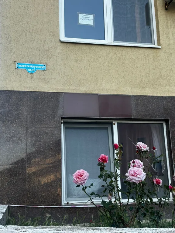 Уютная квартира у моря