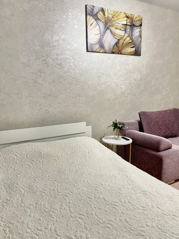 Уютная однокомнатная квартира в центре