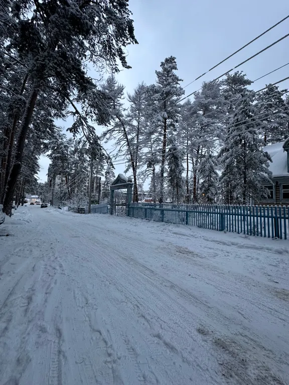 Уютный дом в лесу