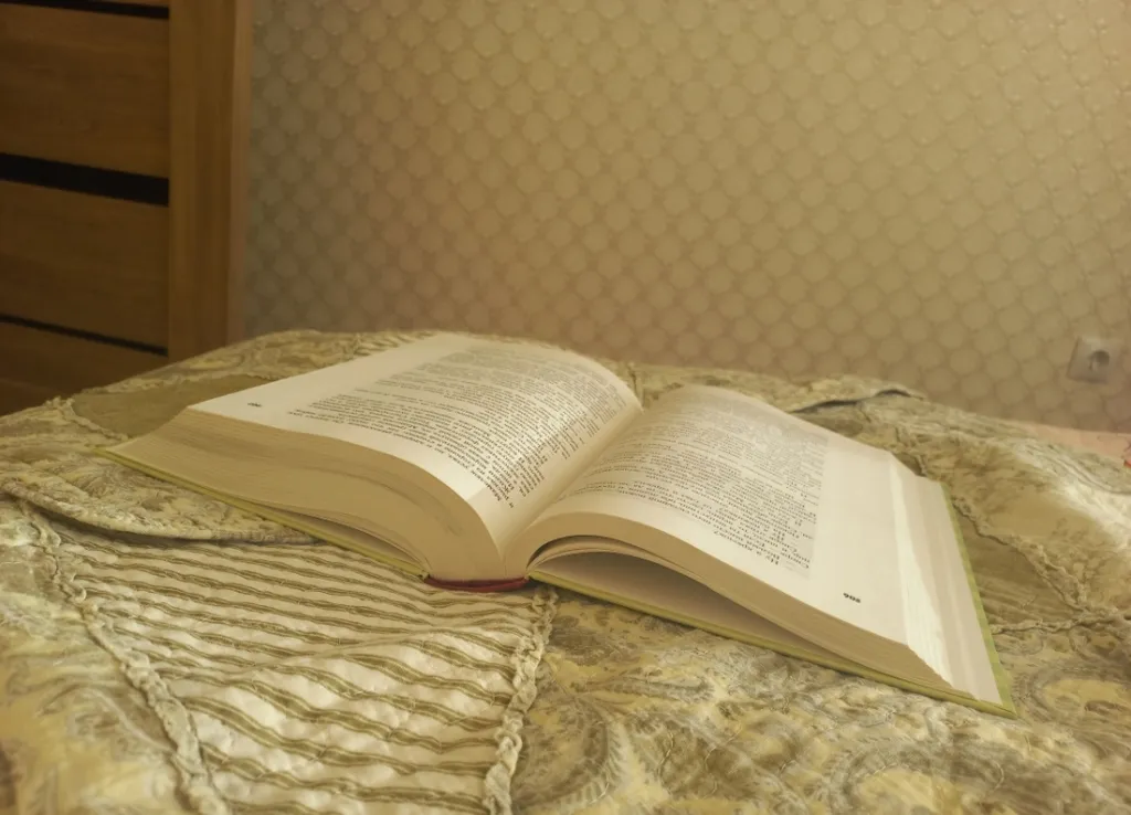 Квартира Атмосферная евро 2 комнатная квартира в новом ЖК на самом берегу Онежского озера — Петрозаводск