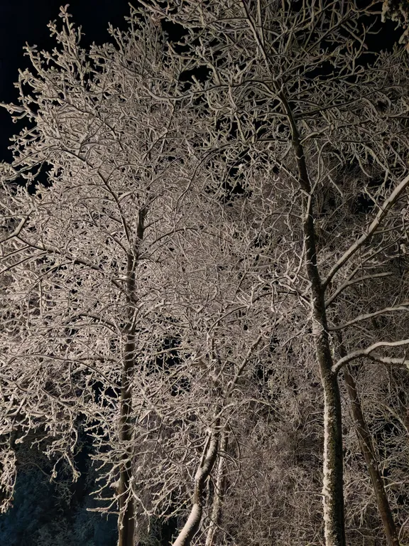 Уютный дом-баня у реки Юрас