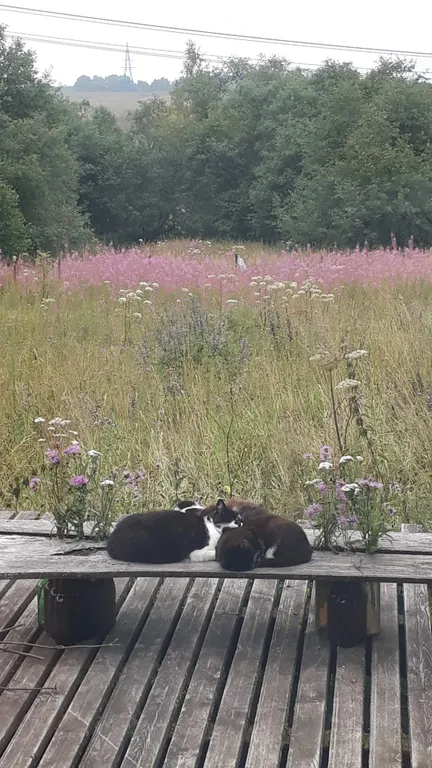 Коттедж Дом с камином и панорамным видом на закат — Шаховская