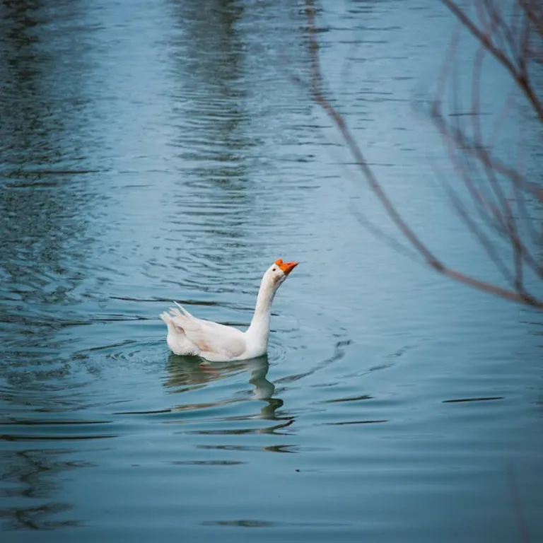 Уютный эко-дом у горной речки