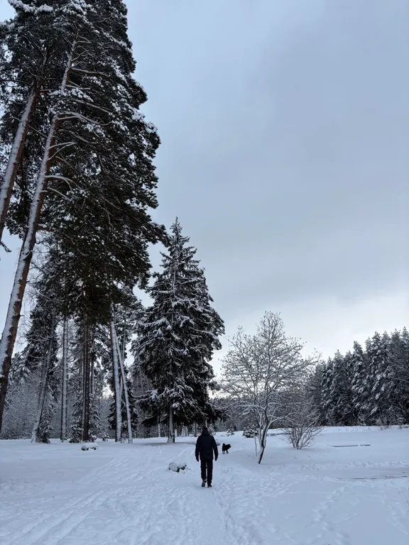 Дача в Заветах Ильича