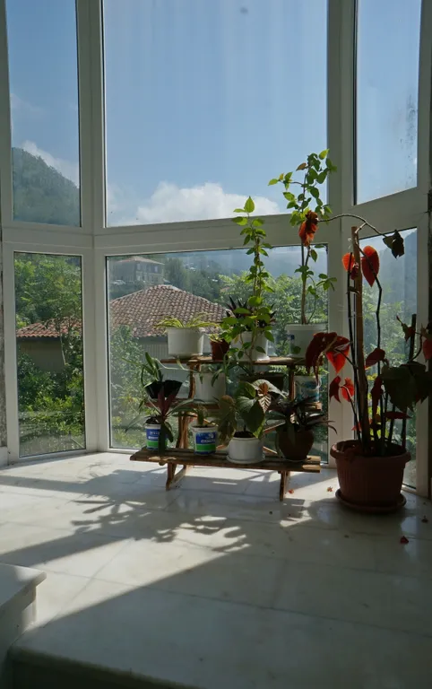 Белый дом в горах Ортабатуми