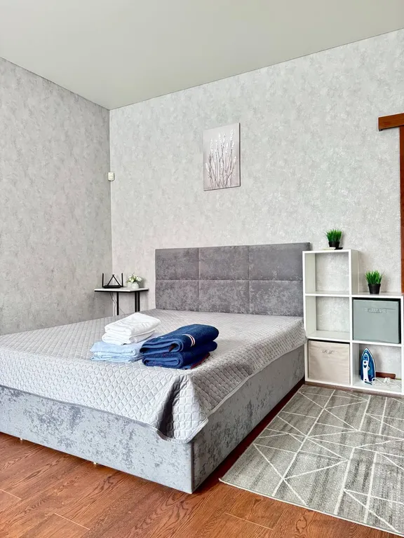 Квартира Центр города — аренда посуточно в Барнаул