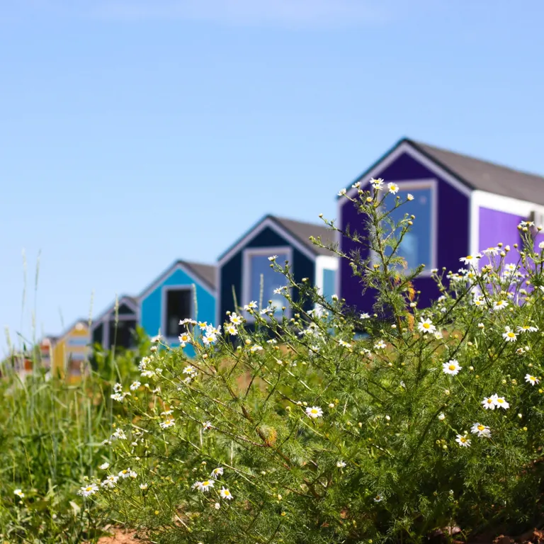 Коттедж Фиолетовый домик — аренда посуточно в Великий Новгород