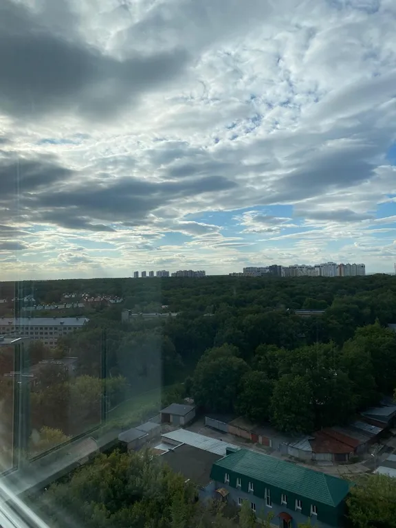 Просторные апартаменты с видом на лес