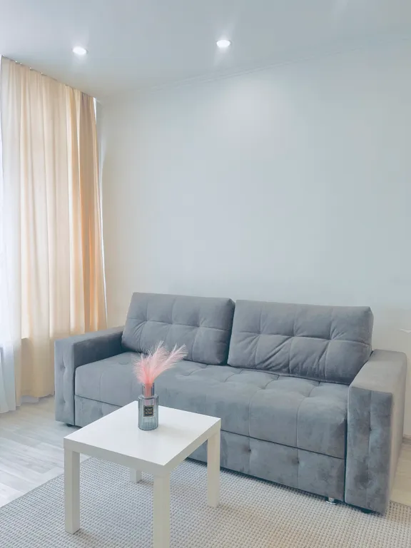 Студия с выделенной спальной зоной