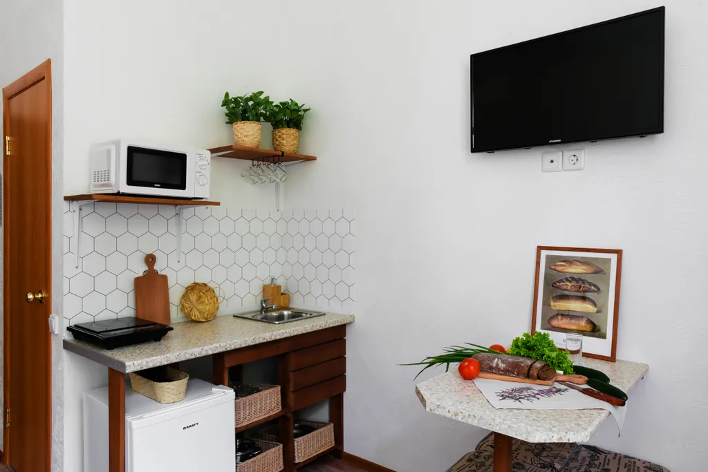 Студия рядом с зоопарком II