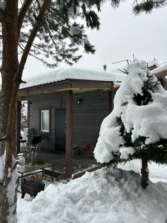 Семейный дом с камином Птичка