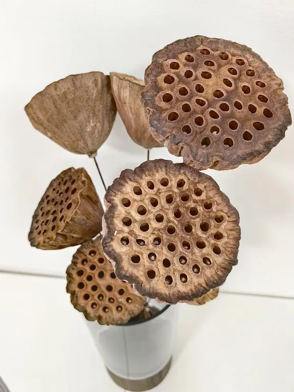 Квартира FoxyFlat Ursus (ФоксиФлэт Урсус)