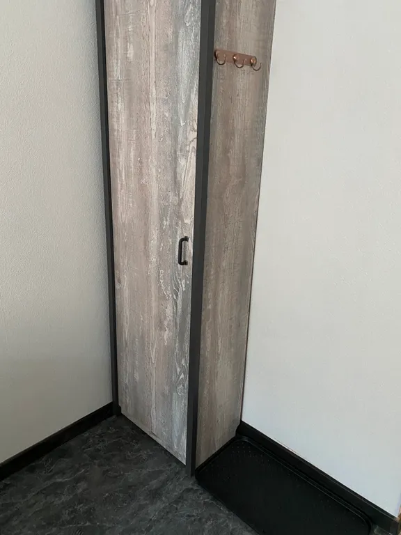 Wolff apartment с видом на Выборгский замок