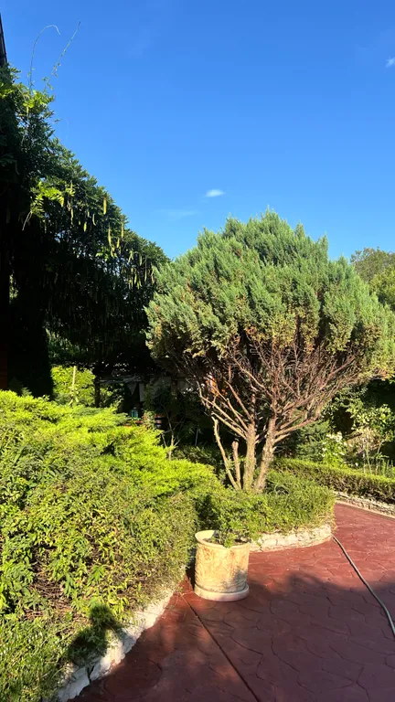 Эко дом в Адлере