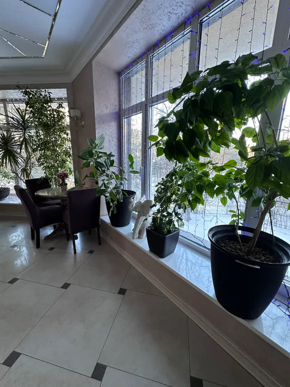 Дворянское гнездо