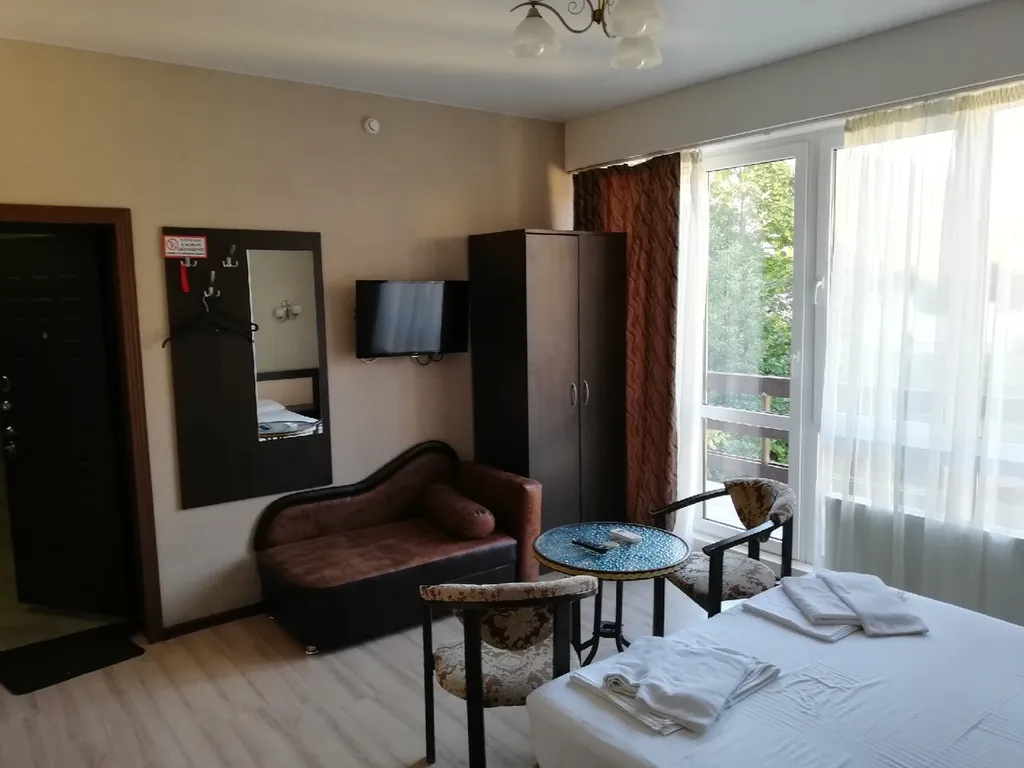 Студия с прекрасным видом на горы