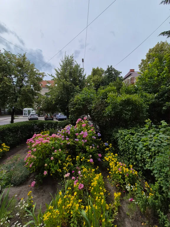 Квартира Квартира Квартирa с нотками прованса в Амелинау, центр — Калининград