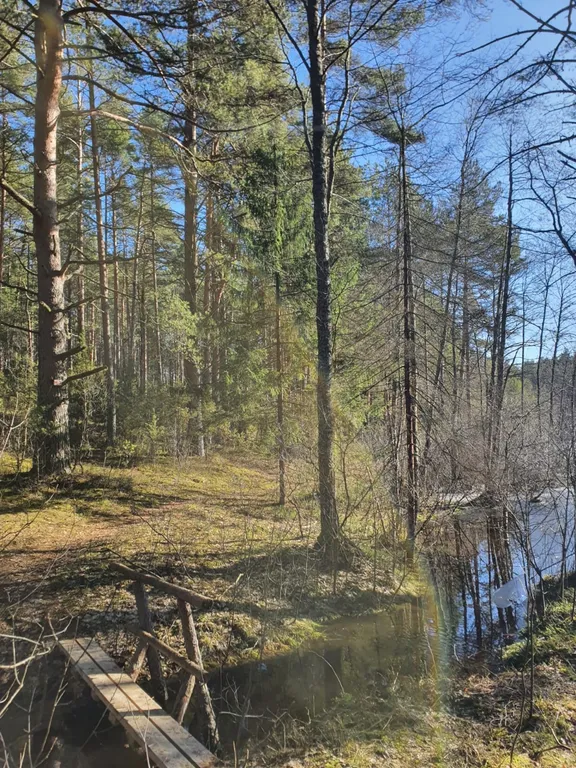 Лучшее место на Селигере