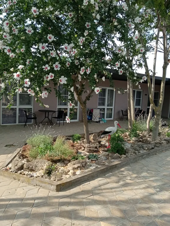 Квартира с отдельным входом