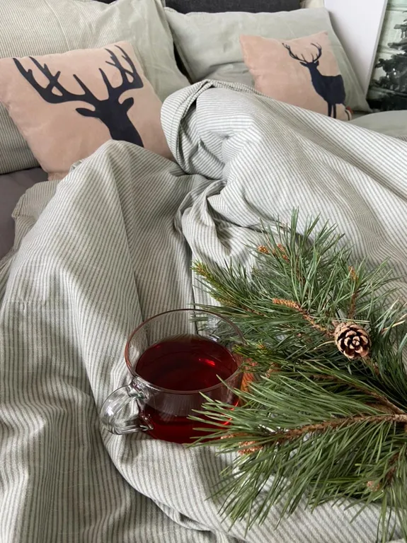 Новый дом-студия