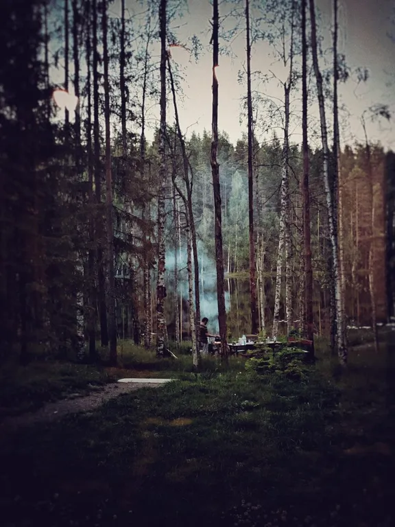 Коттедж комфорт класса с видом на лес