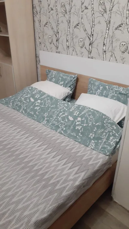 Квартира напротив Кузбасс Арены