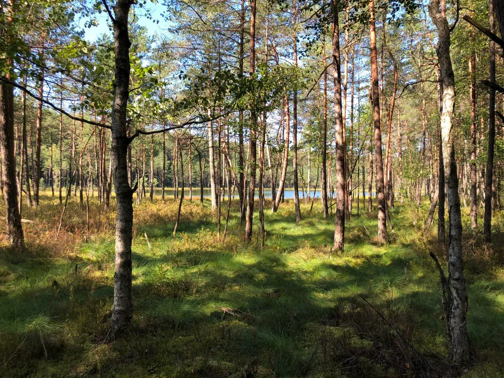 Усадьба Трабутишки у Голубых озёр