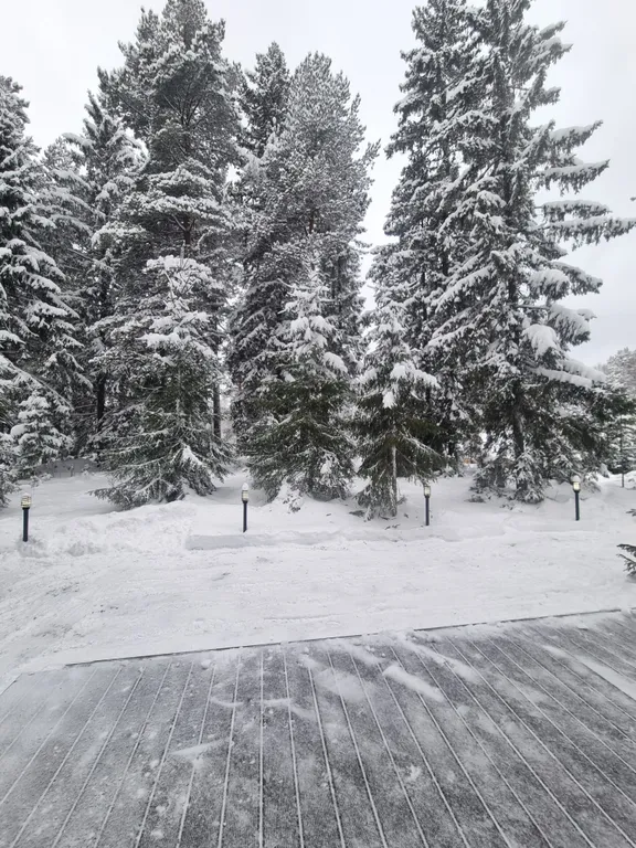 Коттедж Гостевой дом В ЁLКИ — Чална