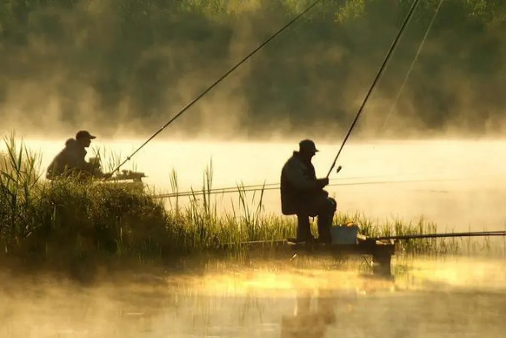Дом на территории заповедника рядом  с озером Селигер можно с питомцем