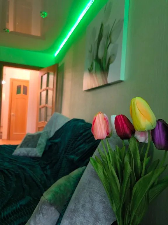 Уютная квартира на Камчатке в Елизово