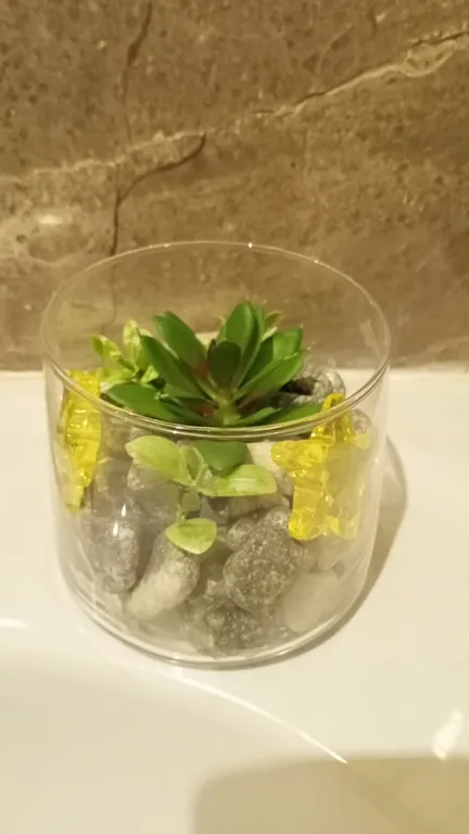 С видом на берег озера с лебедями, в историческом центре, с 1 кроватью