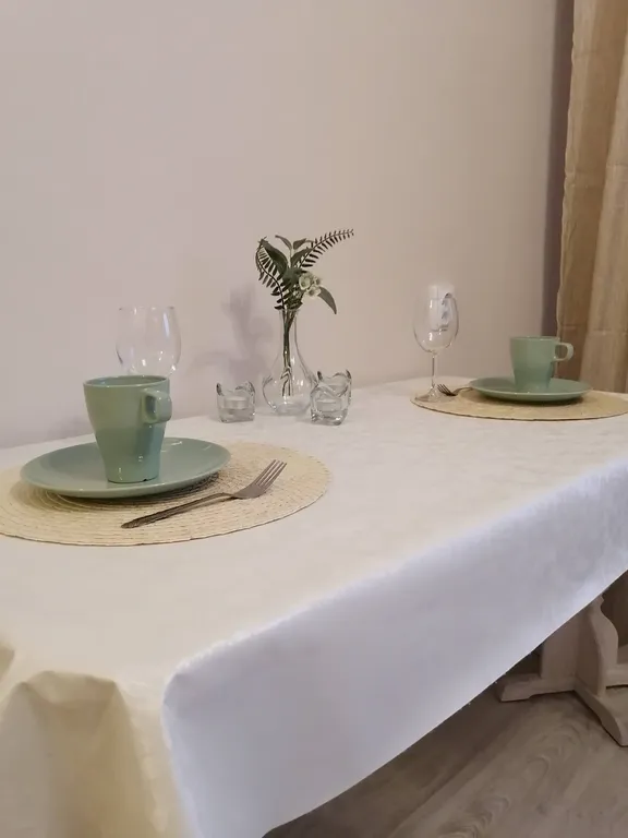 Уютные апартаменты на Толстого 2